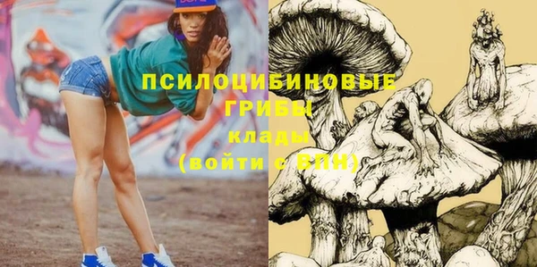 твердый Алексин