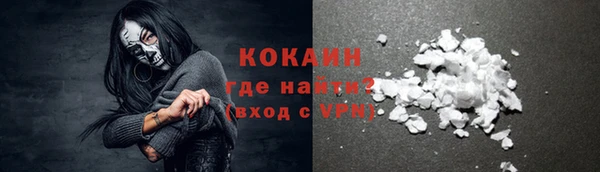 молекула духа Магадан