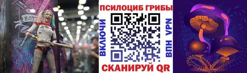 Псилоцибиновые грибы Psilocybe  где продают наркотики  Грозный 